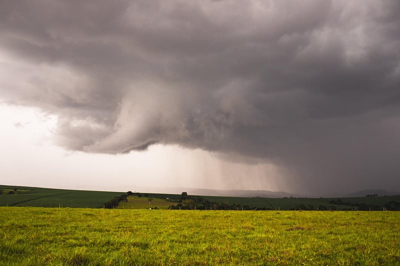 Temporal Vortexes